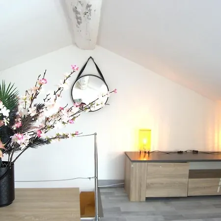 Duplex Sur Le Port De Mandrier - Q01